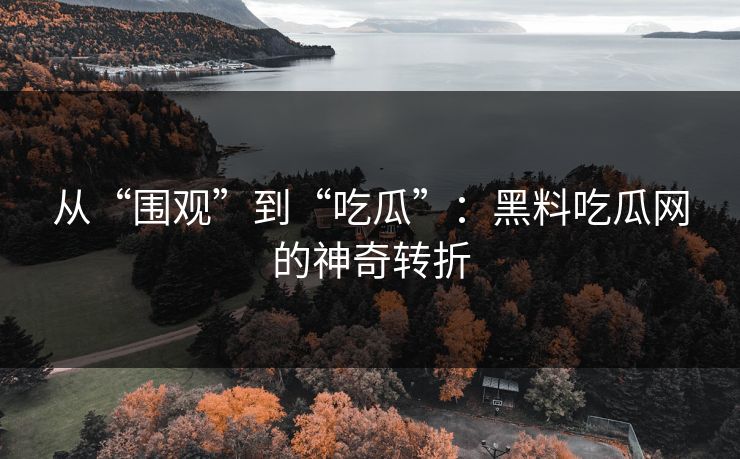 从“围观”到“吃瓜”：黑料吃瓜网的神奇转折  第1张