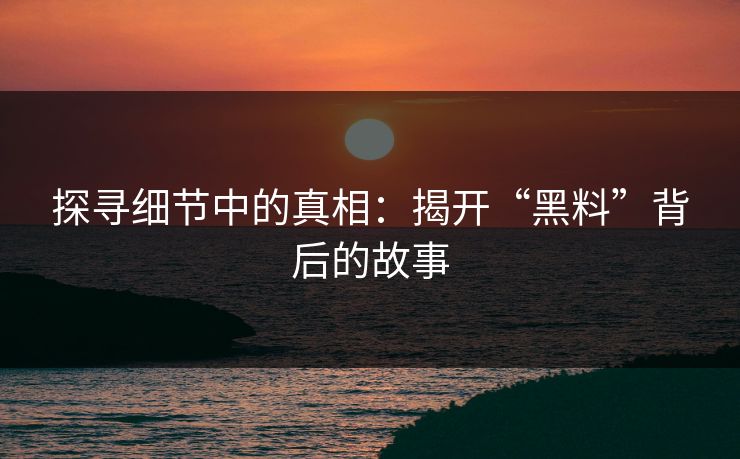 探寻细节中的真相：揭开“黑料”背后的故事  第1张