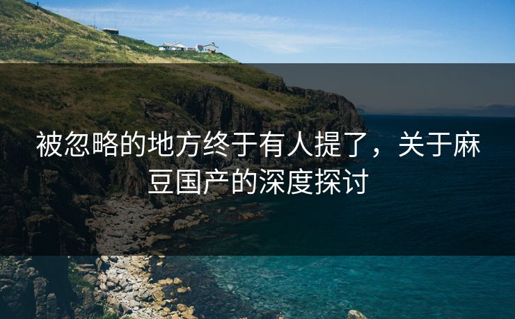 被忽略的地方终于有人提了，关于麻豆国产的深度探讨  第1张