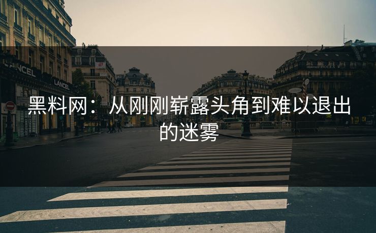 黑料网:从刚刚崭露头角到难以退出的迷雾 第1张 黑料网:从刚刚崭露头角到难以退出的迷雾 第1张