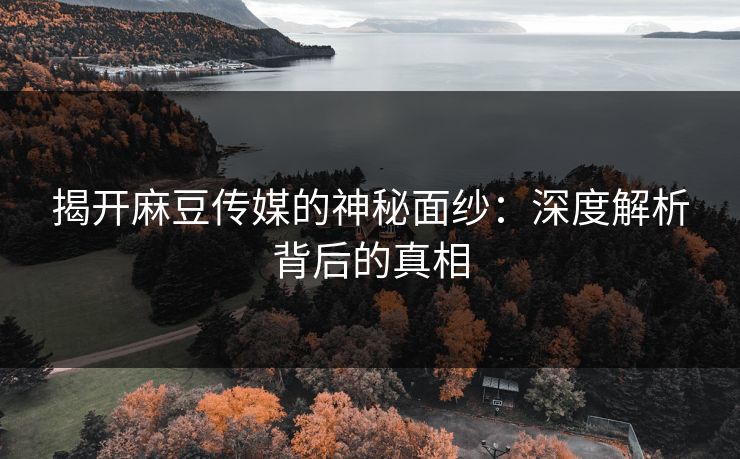 揭开麻豆传媒的神秘面纱:深度解析背后的真相 第1张 揭开麻豆传媒的神秘面纱:深度解析背后的真相 第1张