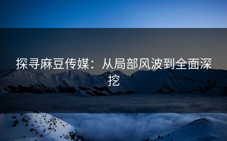 探寻麻豆传媒：从局部风波到全面深挖  第1张