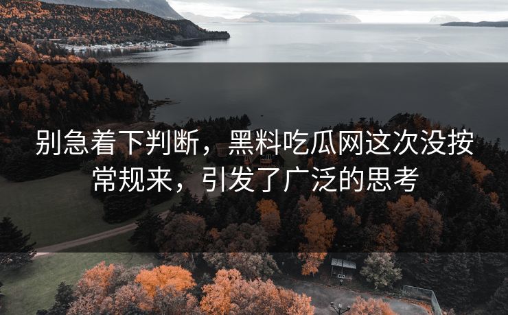 别急着下判断，黑料吃瓜网这次没按常规来，引发了广泛的思考  第1张