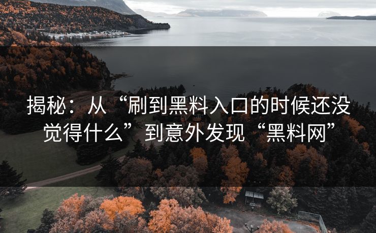 揭秘：从“刷到黑料入口的时候还没觉得什么”到意外发现“黑料网”  第1张