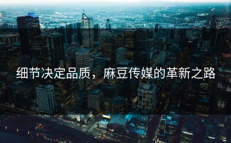 细节决定品质,麻豆传媒的革新之路 第1张 细节决定品质,麻豆传媒的革新之路 第1张