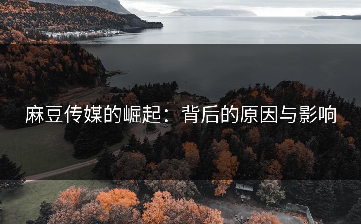 麻豆传媒的崛起：背后的原因与影响  第1张