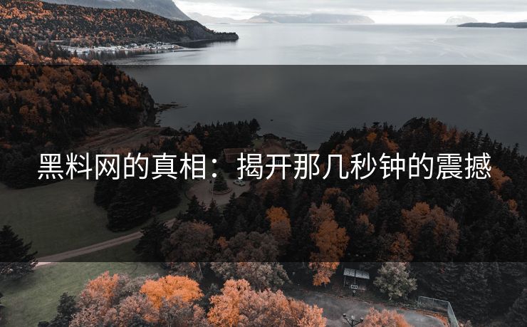 黑料网的真相：揭开那几秒钟的震撼  第1张
