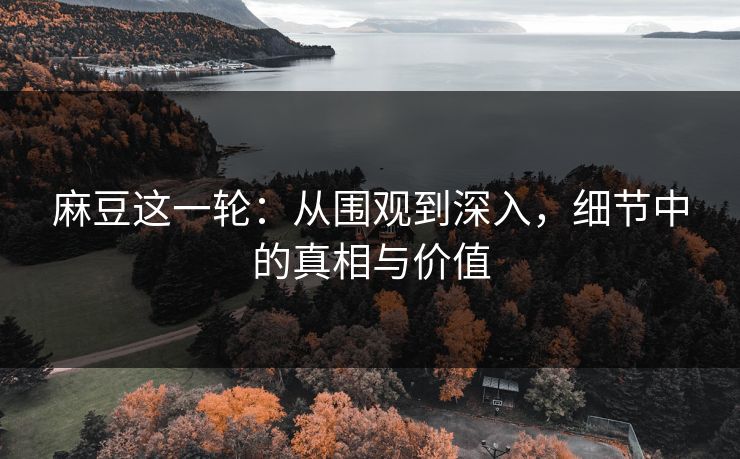 麻豆这一轮：从围观到深入，细节中的真相与价值  第1张